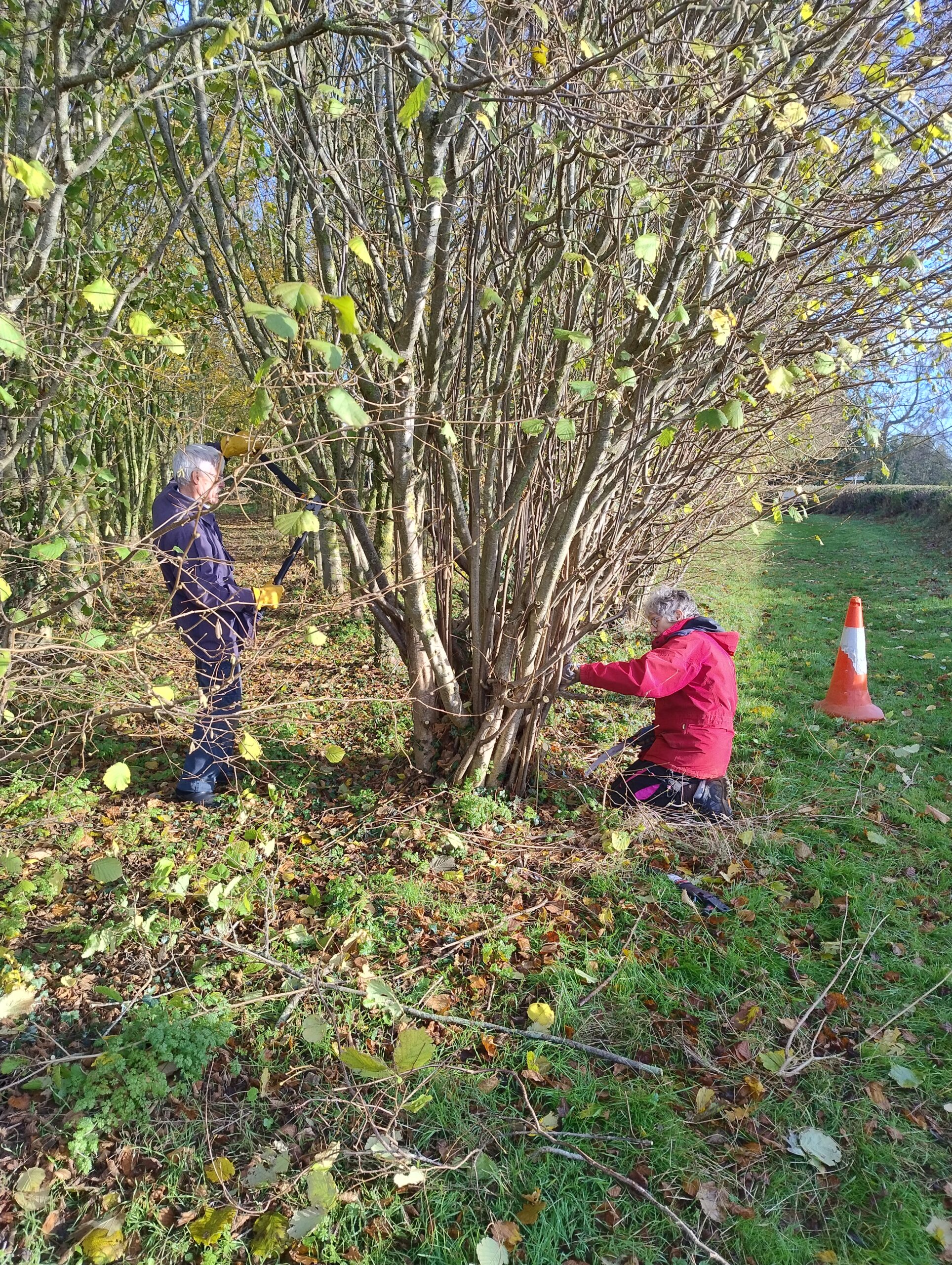 Jens & Hilary in action on their tree