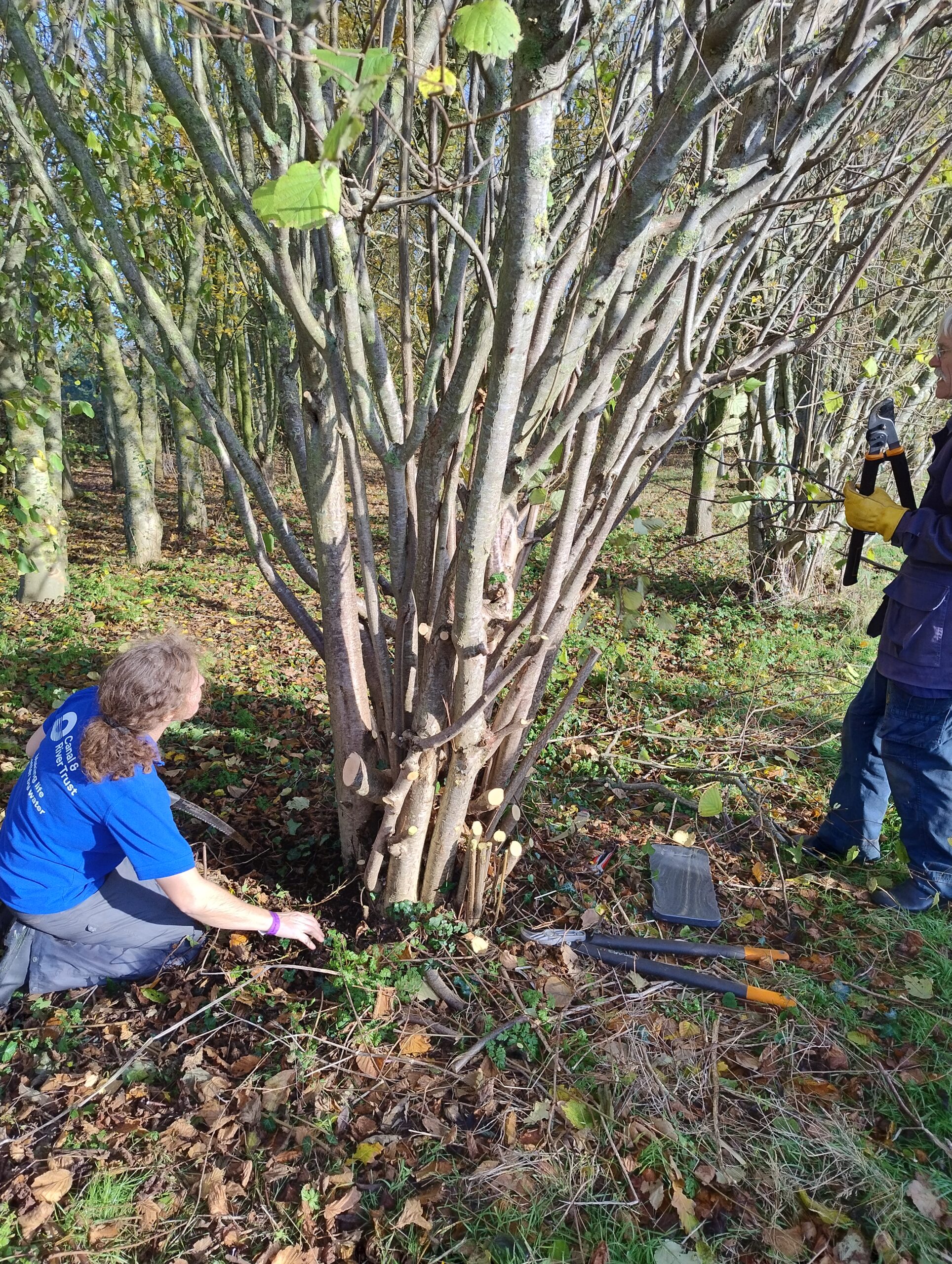 Catherine deciding what branch to tackle next & Jens with his trusty loppers