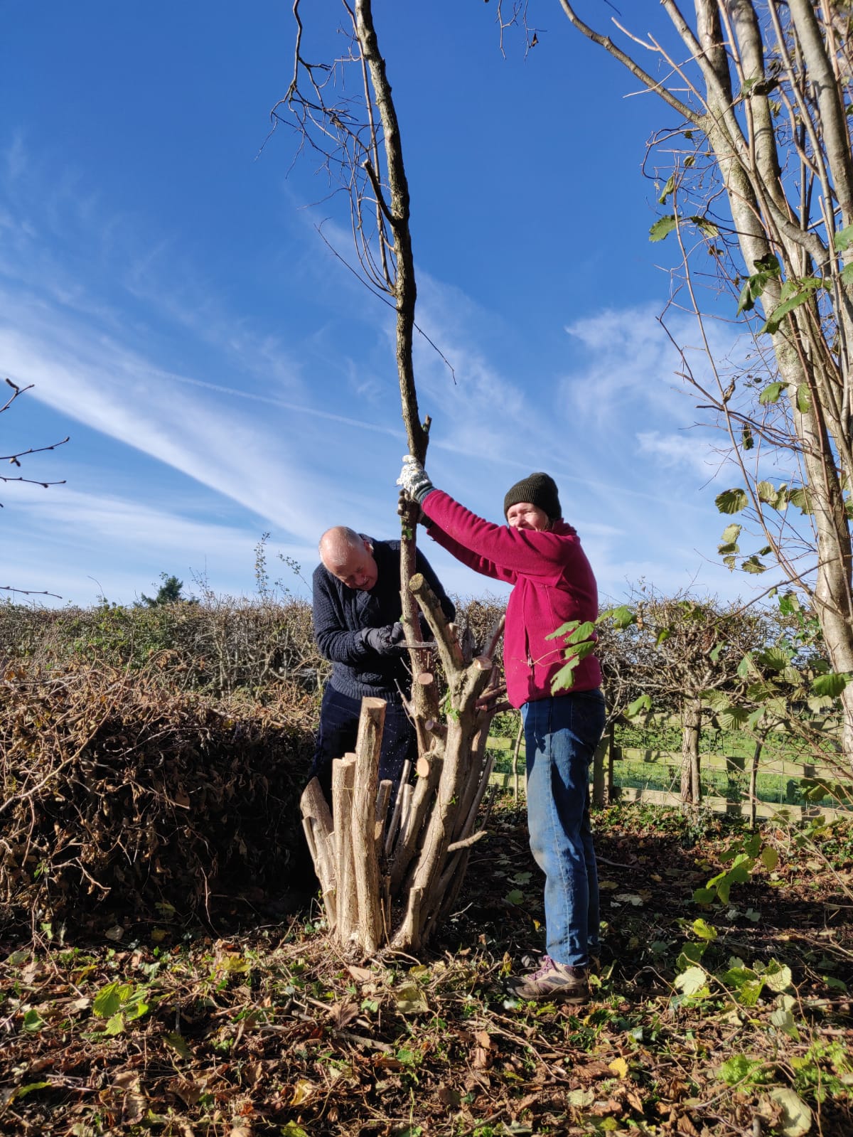 David & Sue - teamwork in action