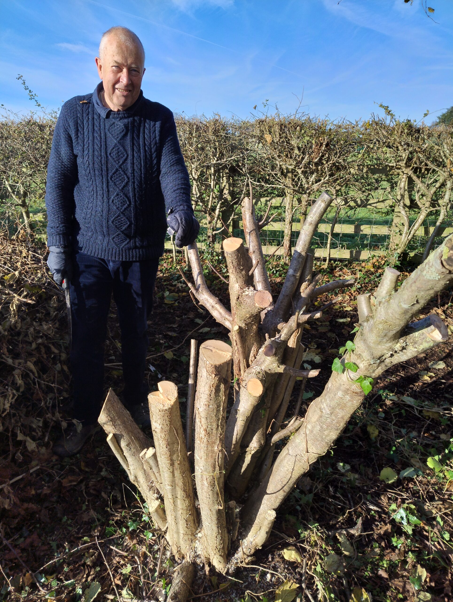 David was very pleased with his 1st coppiced tree ... just check out those Gob cuts