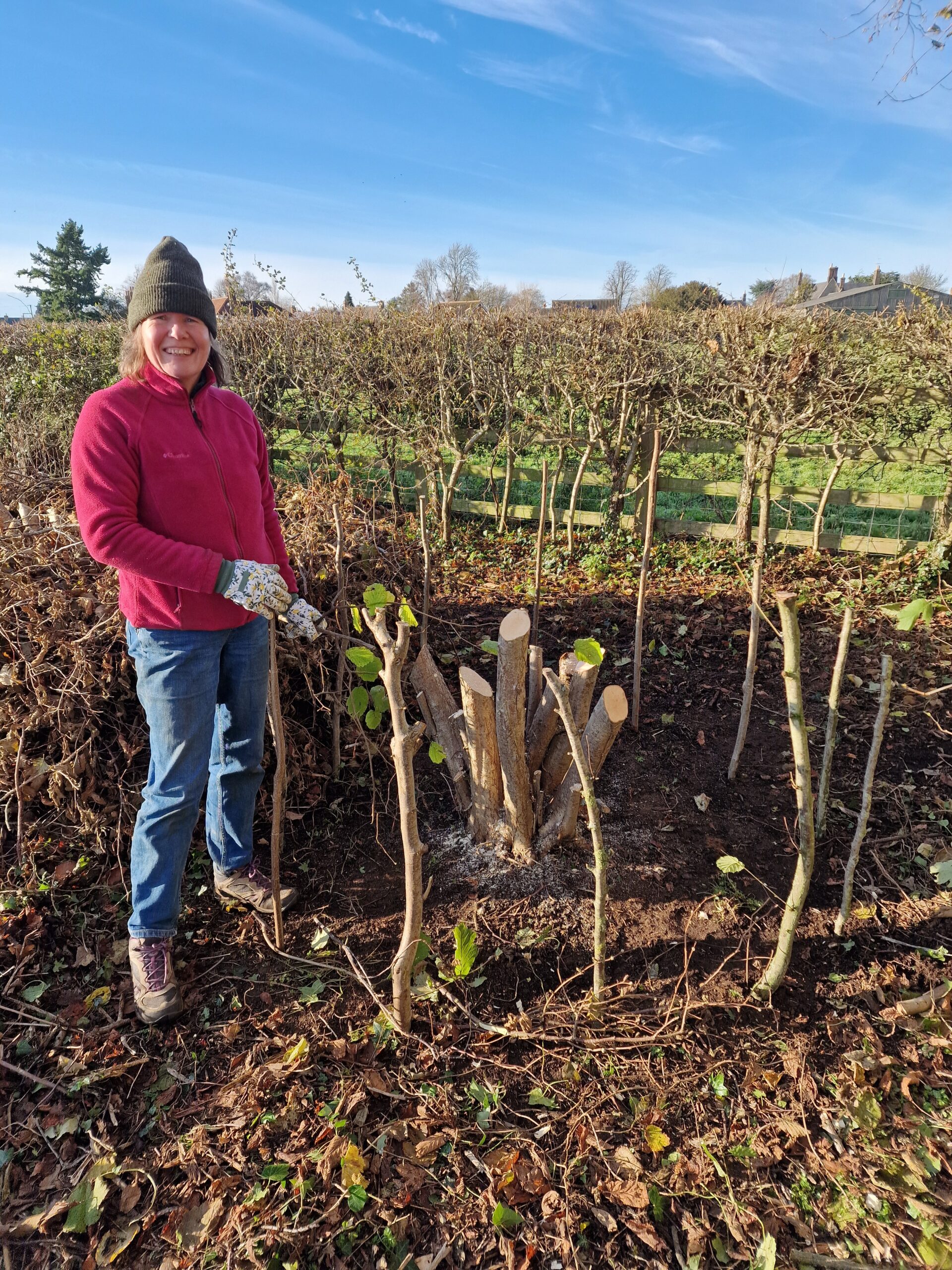 Sue starts to weave the brash around the stakes as she starts to build the nest around the hazel stool