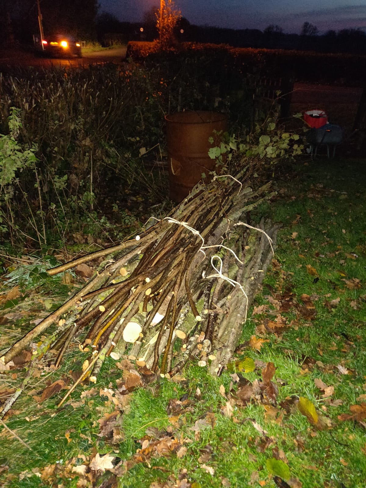 The harvested stakes and binders for the CRT - you can see how late we were working ....