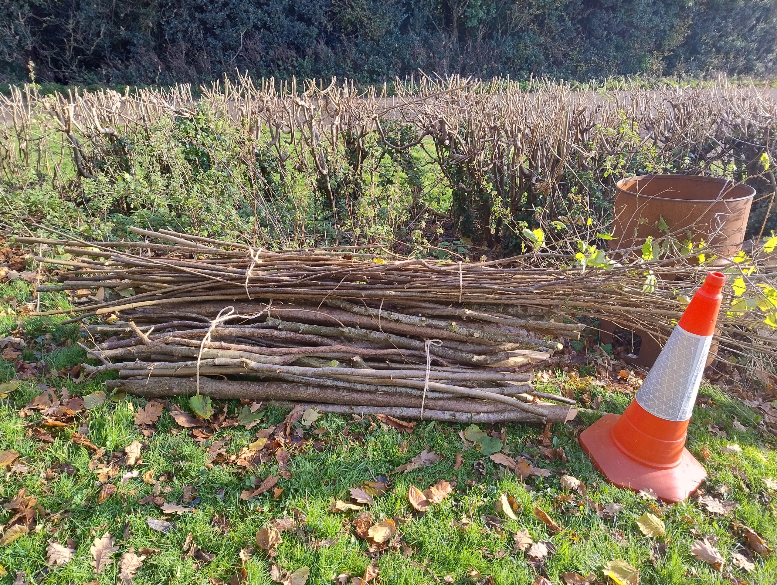 A good harvest of stakes & binders for the Canal & River Trust's Hedge-Laying projects