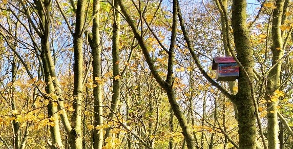 Winter11
